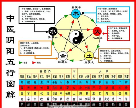 延 五行